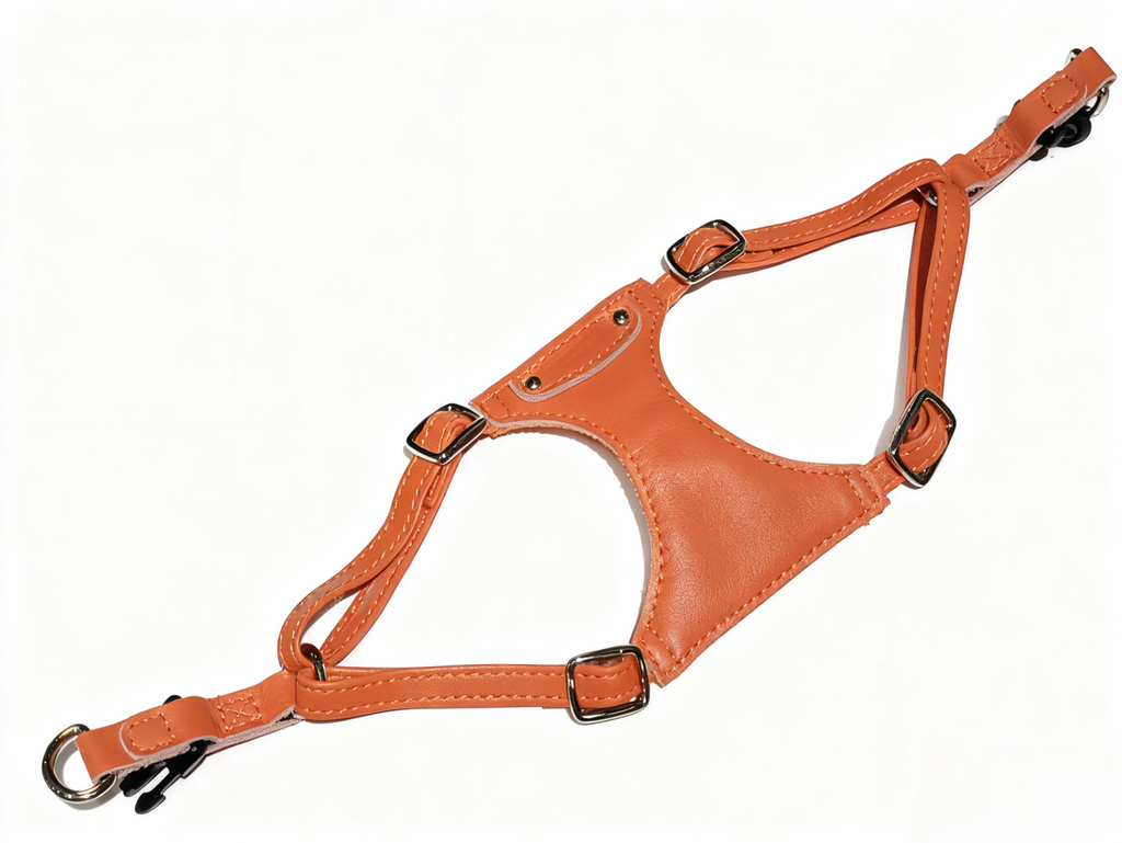 Mini Harness