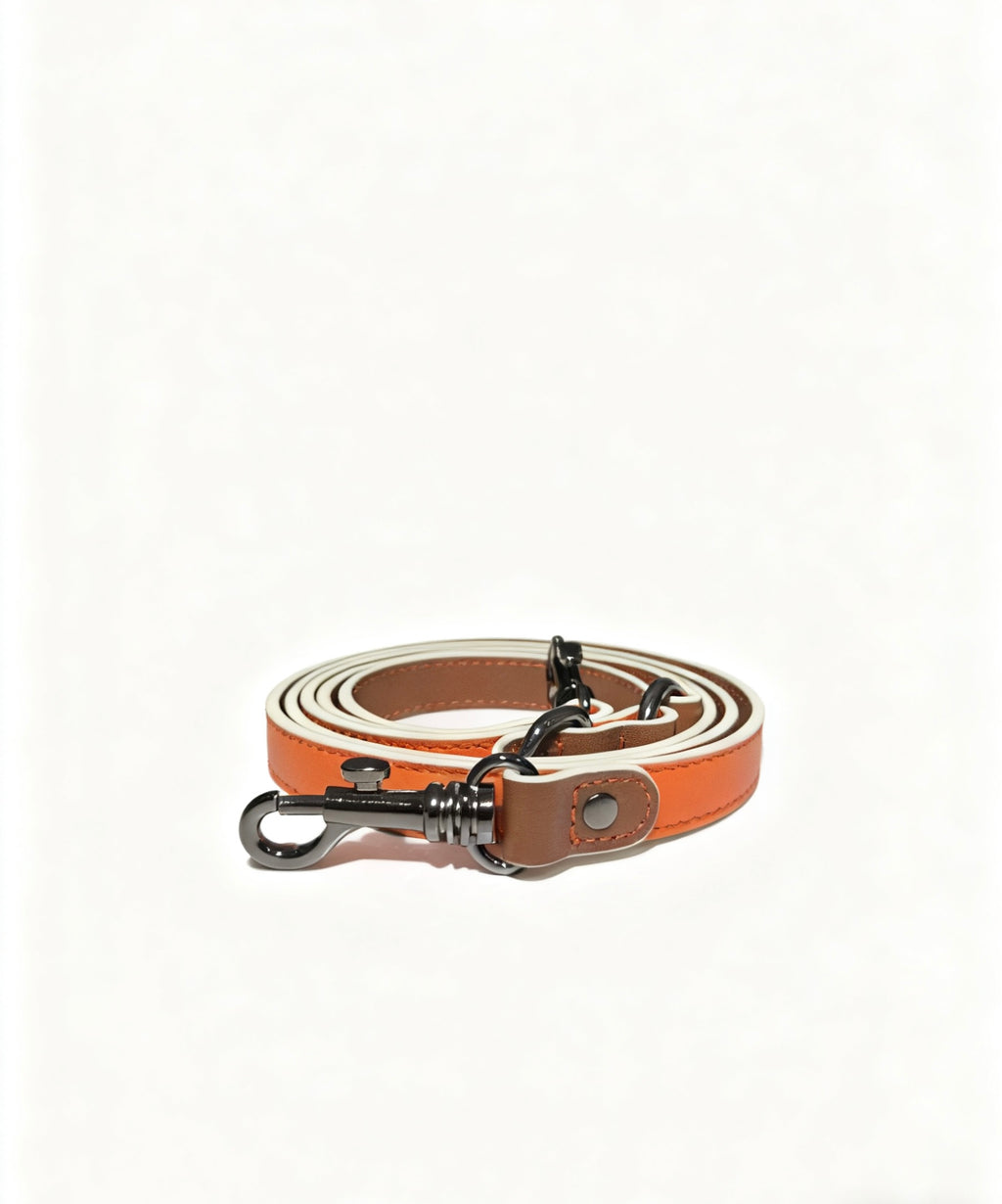 Dual-color Contrast Genuine Leather Leash